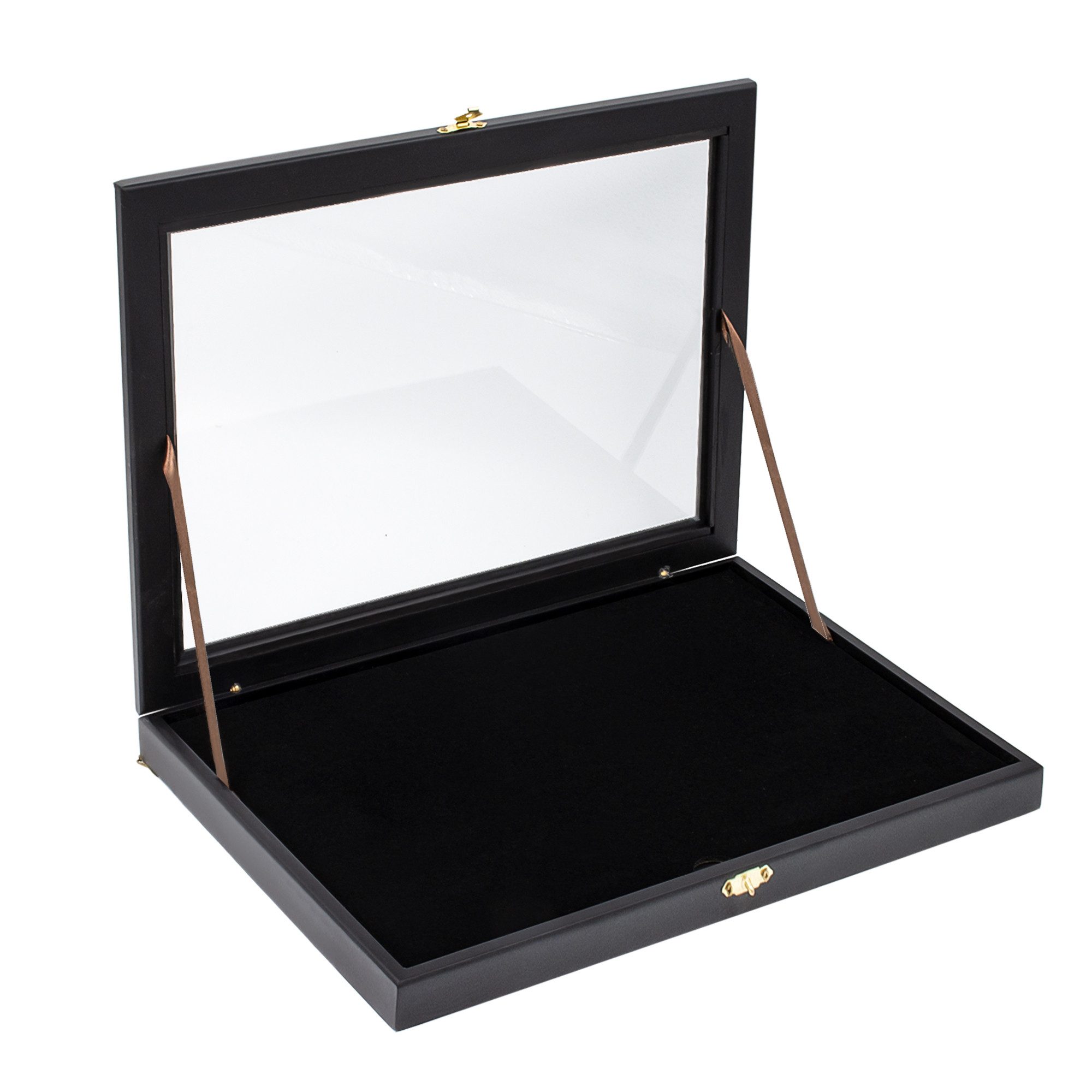 Safe-Album Vitrine Pin-Vitrine schwarz günstig online kaufen