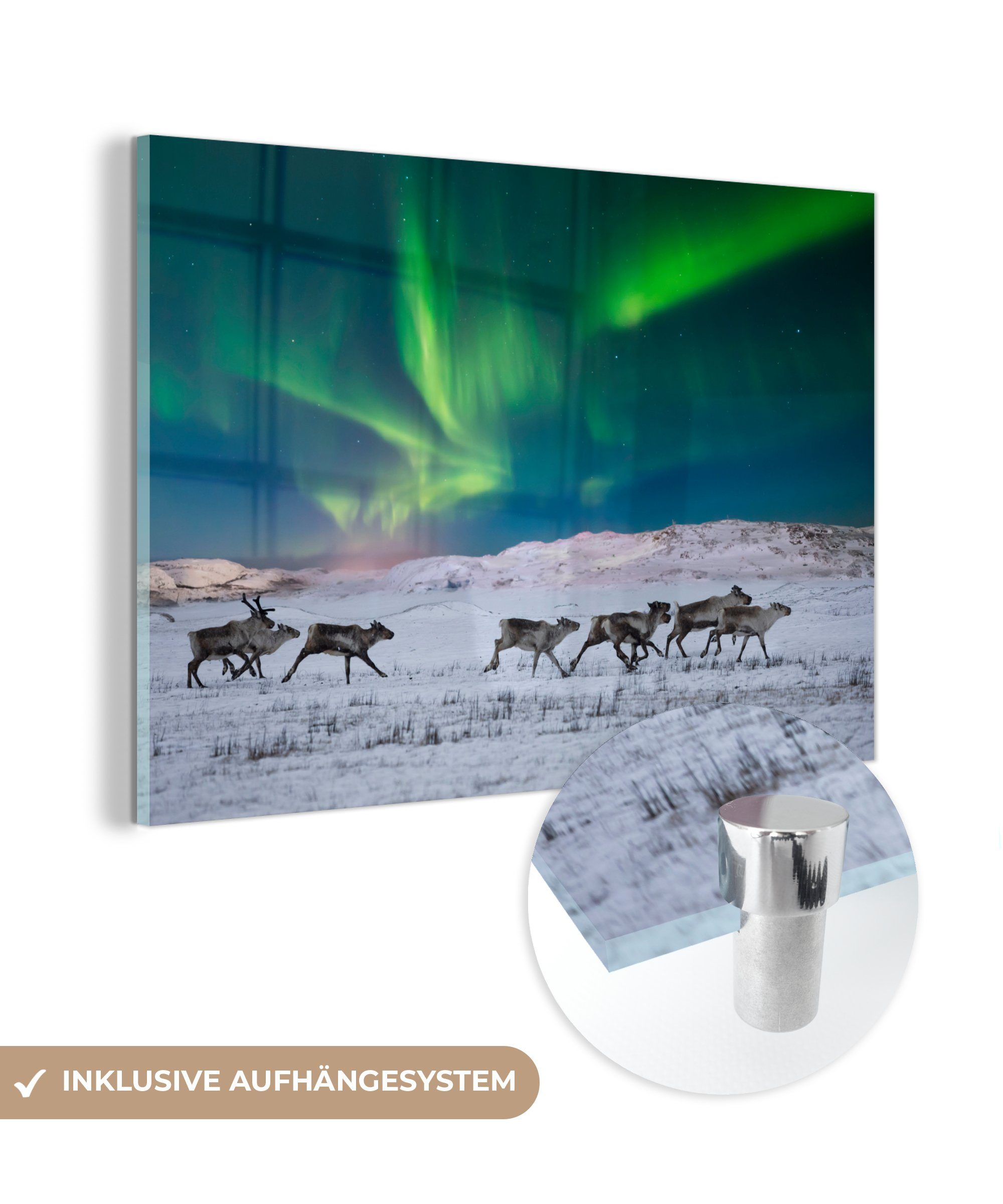 MuchoWow Acrylglasbild Rentiere in der Tundra, (1 St), Acrylglasbilder Wohnzimmer & Schlafzimmer