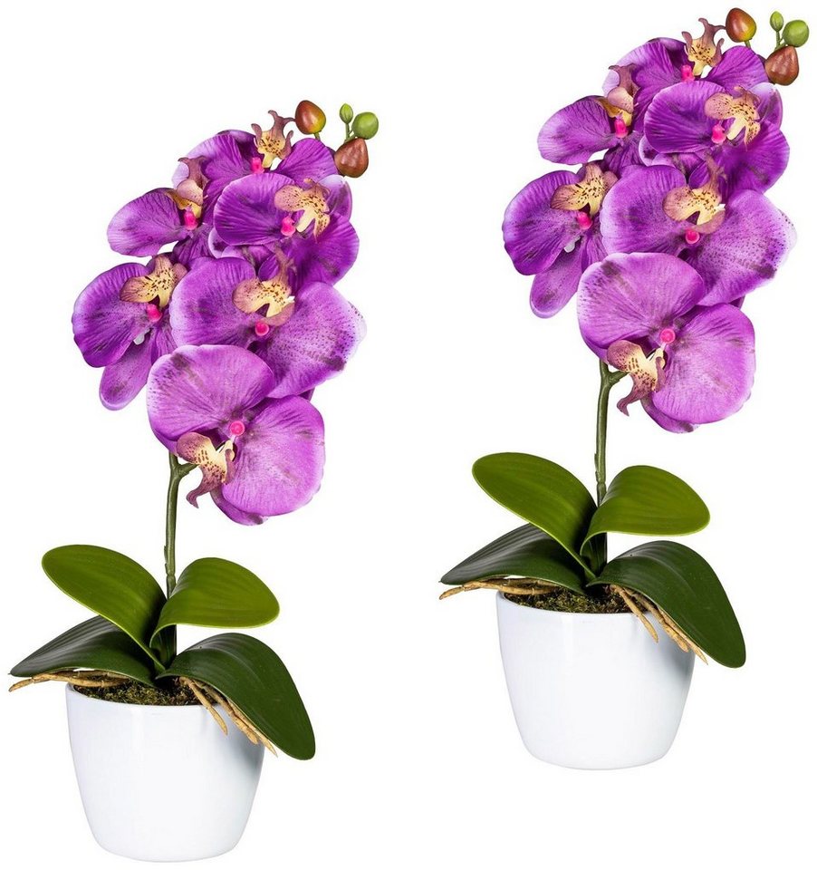 Kunstpflanze Orchidee Phalaenopsis Orchidee, Creativ green, Höhe 40 cm, im  Keramiktopf, Kombination aus farbenfrohen Blüten & hochwertigem Topf