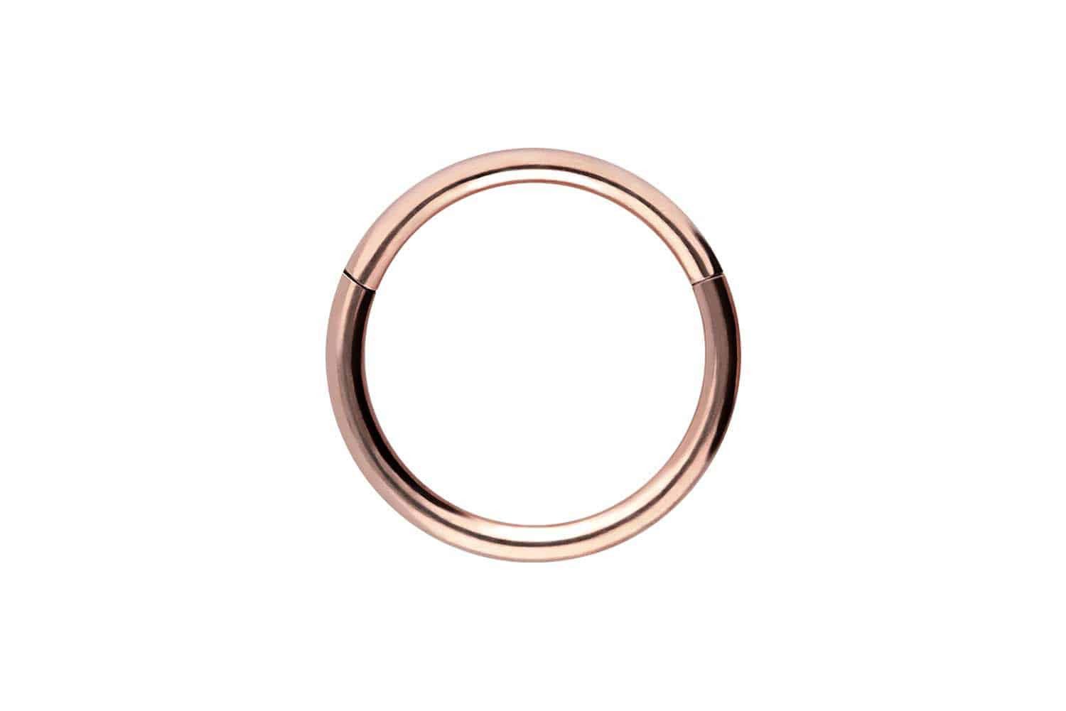 PIERCINGLINE Piercing-Set Chirurgenstahl Segmentring Clicker (Clicker günstig online kaufen