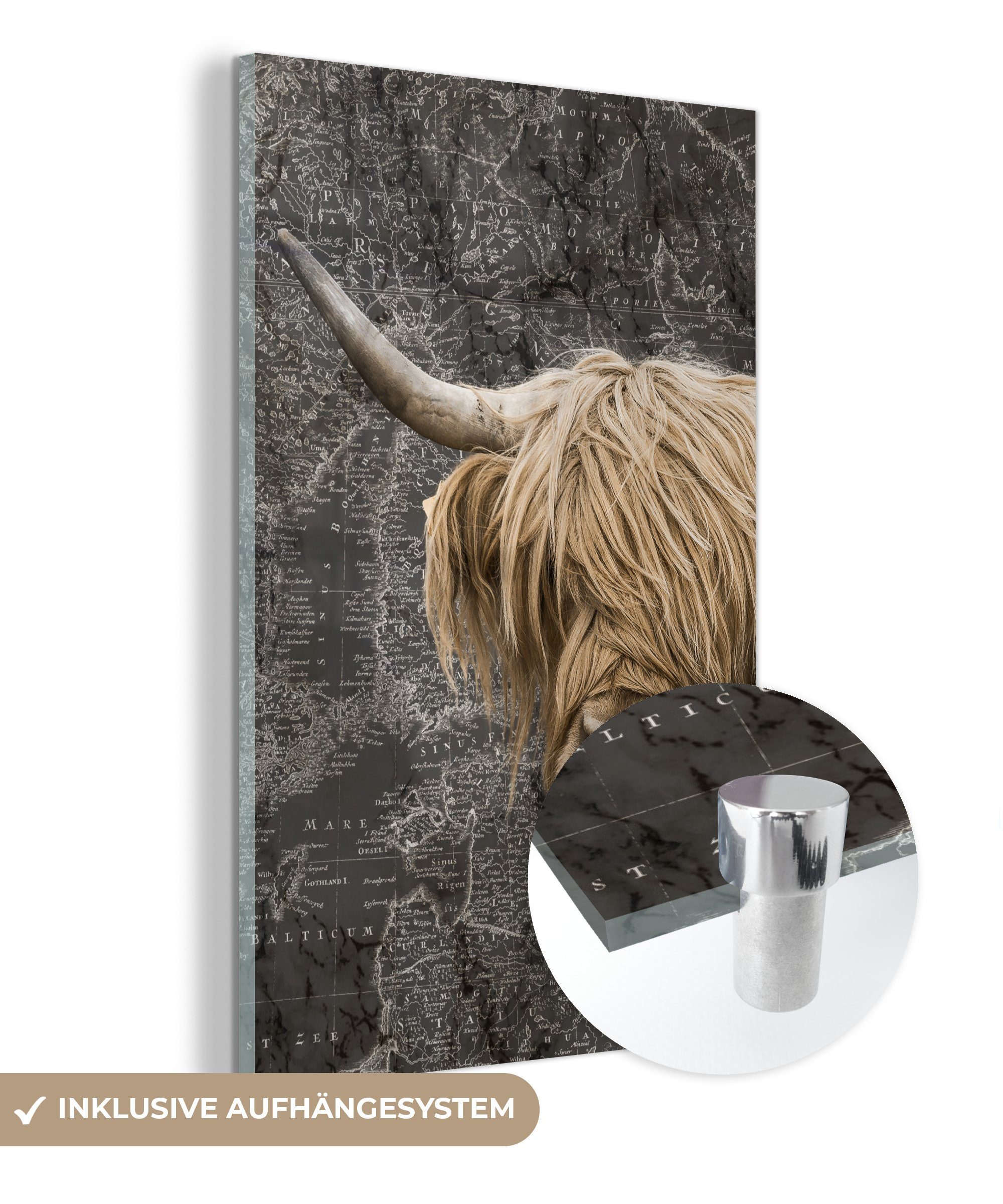 MuchoWow Acrylglasbild Schottische Highlander - Kühe - Weltkarte, (1 St), Glasbilder - Bilder auf Glas Wandbild - Foto auf Glas - Wanddekoration