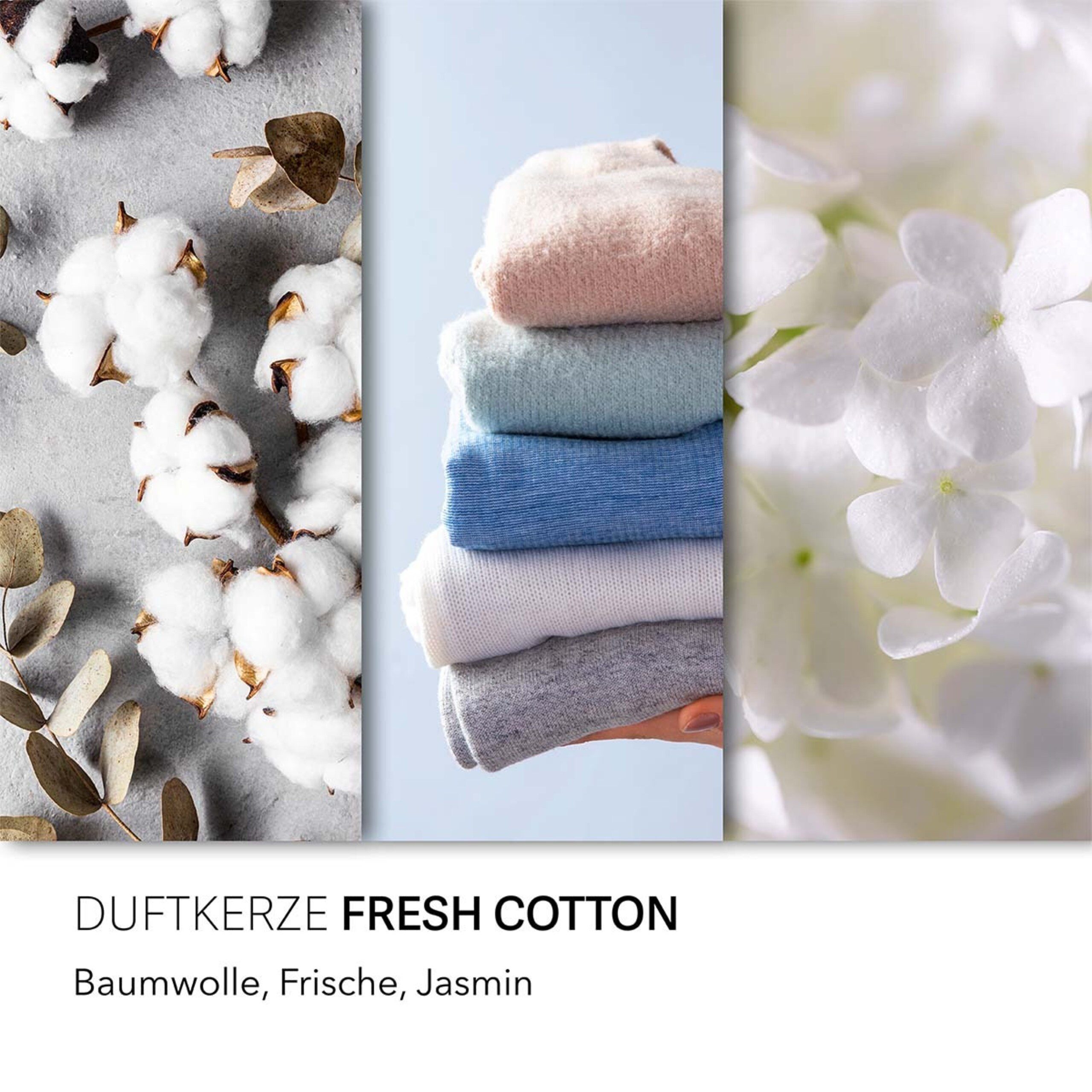 Candle BROTHERS Duftkerze Candle Brothers, Coastal günstig online kaufen