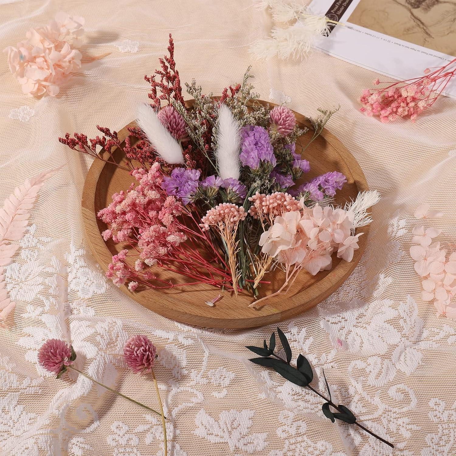 Trockenblume Getrocknete Blumen gemischt für DIY-Projekte & Bastelarbeiten, LuxusKollektion