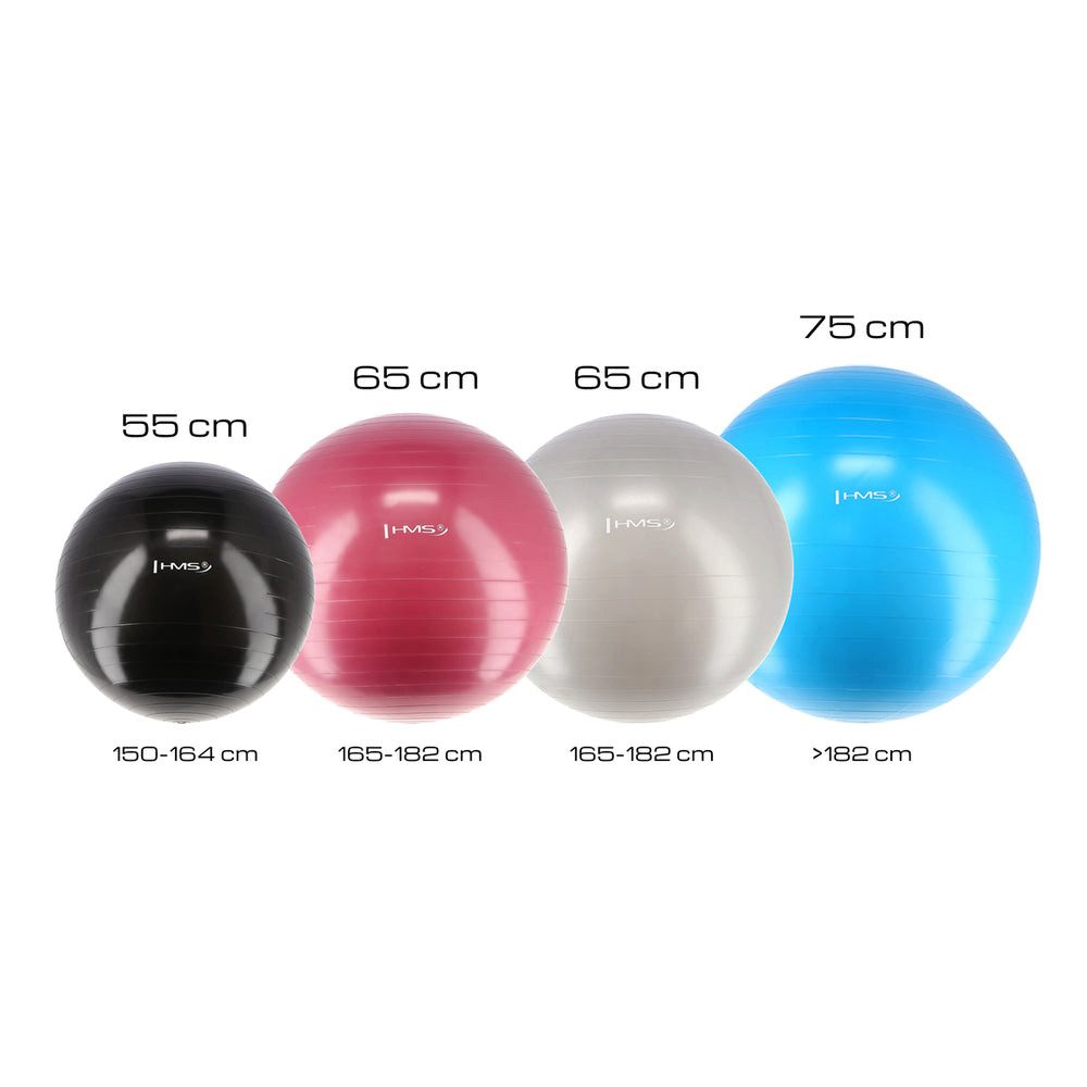 HMS Gymnastikball Sitzball Fitnessball Yogaball (Spar-Set, 1-St., Ø 75 cm rutschfest), Gummi, rutschfest, bis 100 kg, Luftpumpe