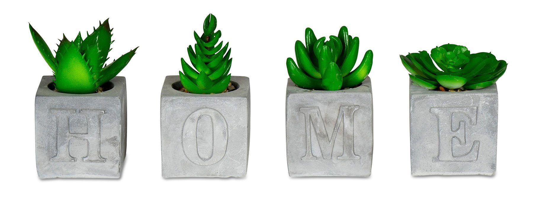 Kunstpflanze, Levandeo®, levandeo 4er Set Sukkulenten Im Betontopf Je 5x9cm Home Beton. € 19,99