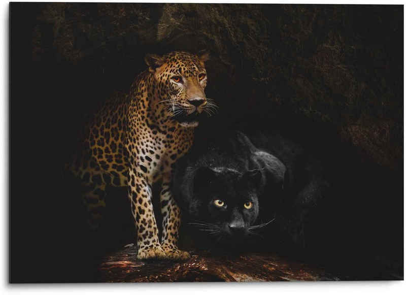 Reinders! Wandbild Aluminium Wandbild Raubtiere Panther - Cougar - Katzen - Höhle, Wildtiere (1 St)