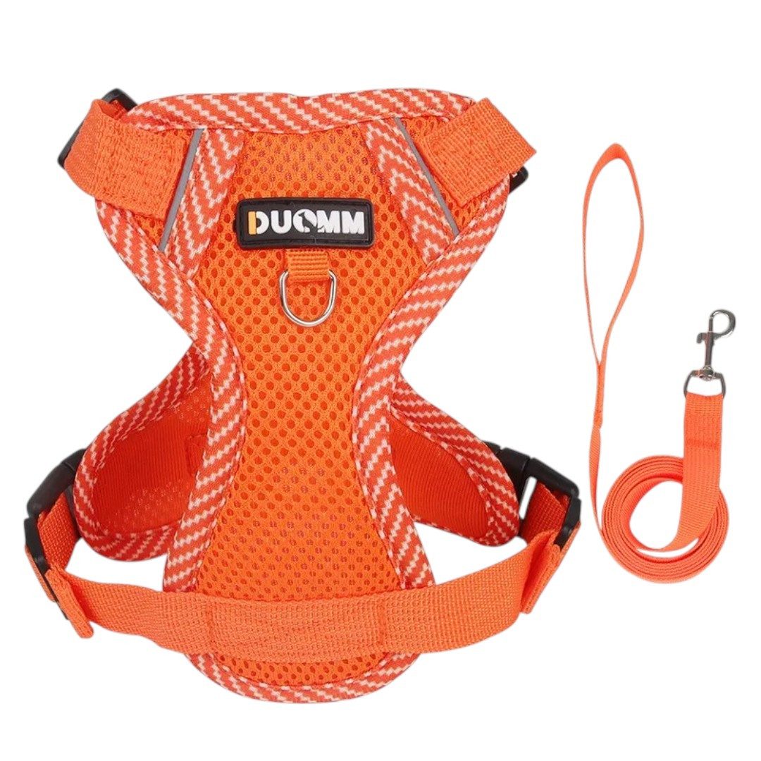 Eyecatcher Hunde-Geschirr Verstellbares Hunde-Geschirr-Set aus atmungsaktivem Mesh mit Leine (4
