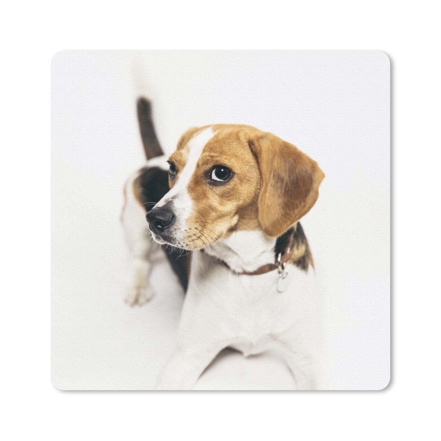 MuchoWow Mauspad Welpe - Beagle - Braun (1-St), Mousepad, Schreibtisch Zubehör, Deko, 20x20 cm