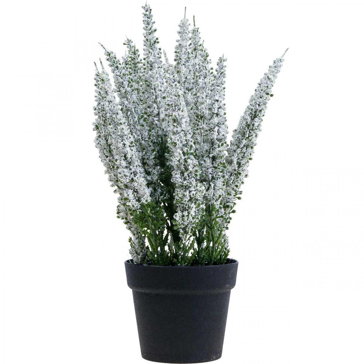 Winterliche Kunstpflanze Erika Weiß Heidekraut Kunstpflanze Deko 26cm Calluna Vulgaris, Florists Products, Höhe 26 cm – Bild 4 von 4