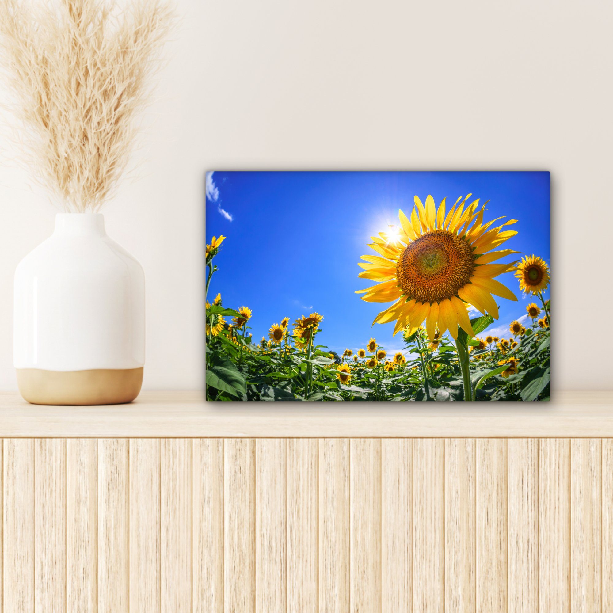 Wandbild Aufhängefertig, Wanddeko, St), (1 Leinwandbilder, von OneMillionCanvasses® 30x20 gesehen, Sonnenblumenfeld unten Leinwandbild cm
