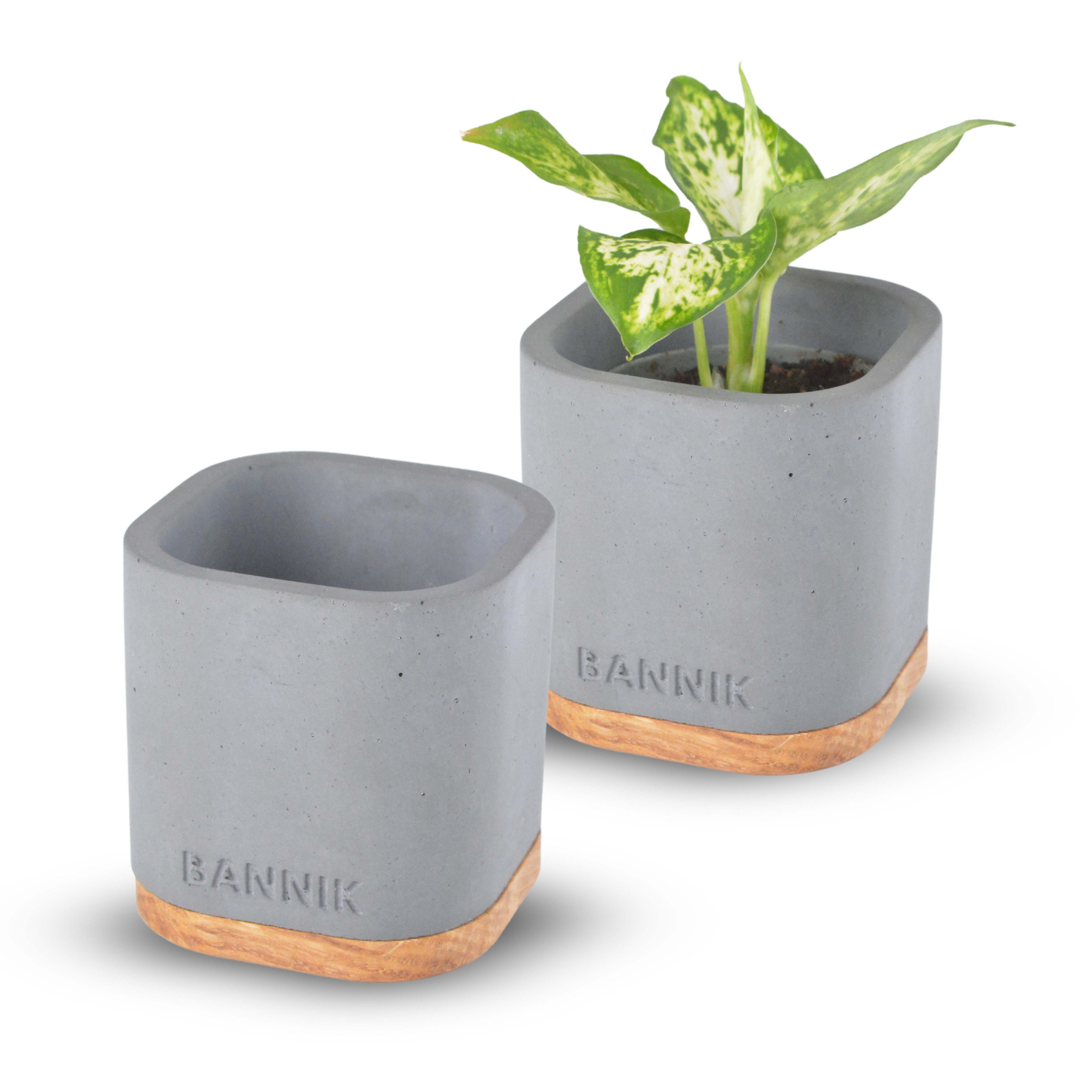 Bannik Blumentopf aus Beton und Holz günstig online kaufen