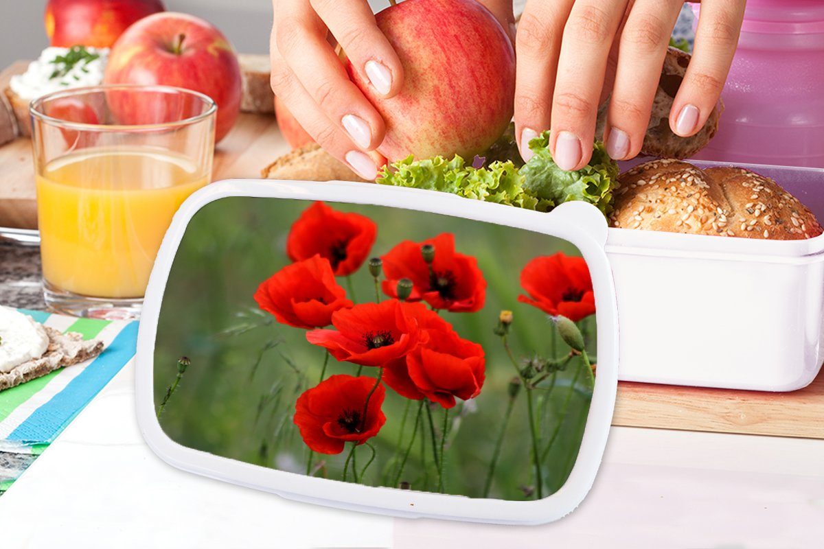 Blumen Brotbox (2-tlg), Kunststoff, und für Mädchen Lunchbox Erwachsene, und Kinder MuchoWow Brotdose, - Mohn Jungs weiß Rot, - für