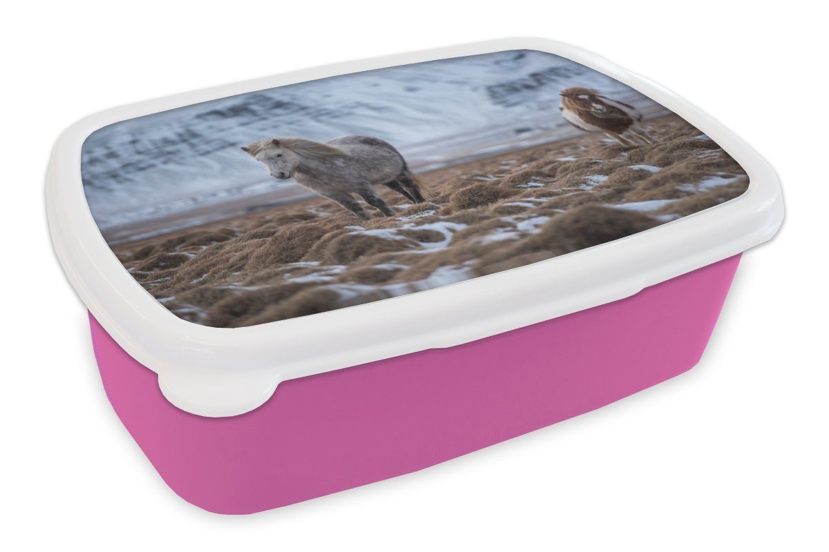 MuchoWow Lunchbox Island - Brotbox Erwachsene, (2-tlg), Kunststoff Mädchen, - Kunststoff, Brotdose Kinder, Pferde Snackbox, für Schnee, rosa