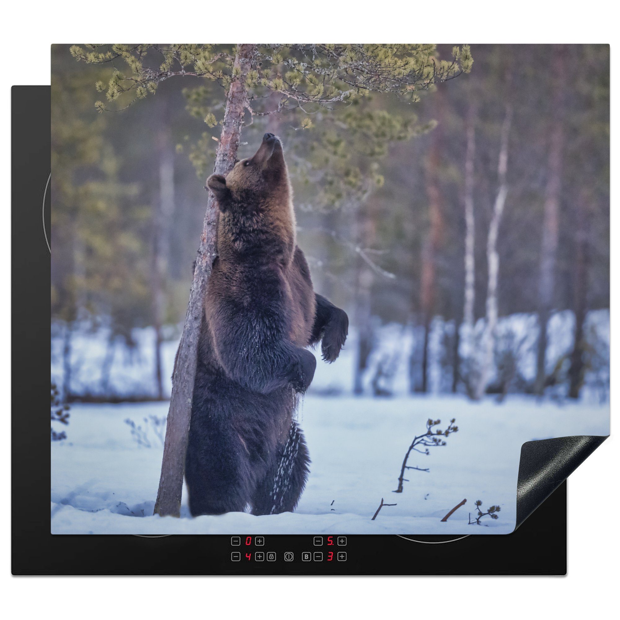 eines 60x52 Bild Mobile nutzbar, cm, Ceranfeldabdeckung MuchoWow Herdblende-/Abdeckplatte Arbeitsfläche Grizzlybären Vinyl, Schnee, (1 tlg), im