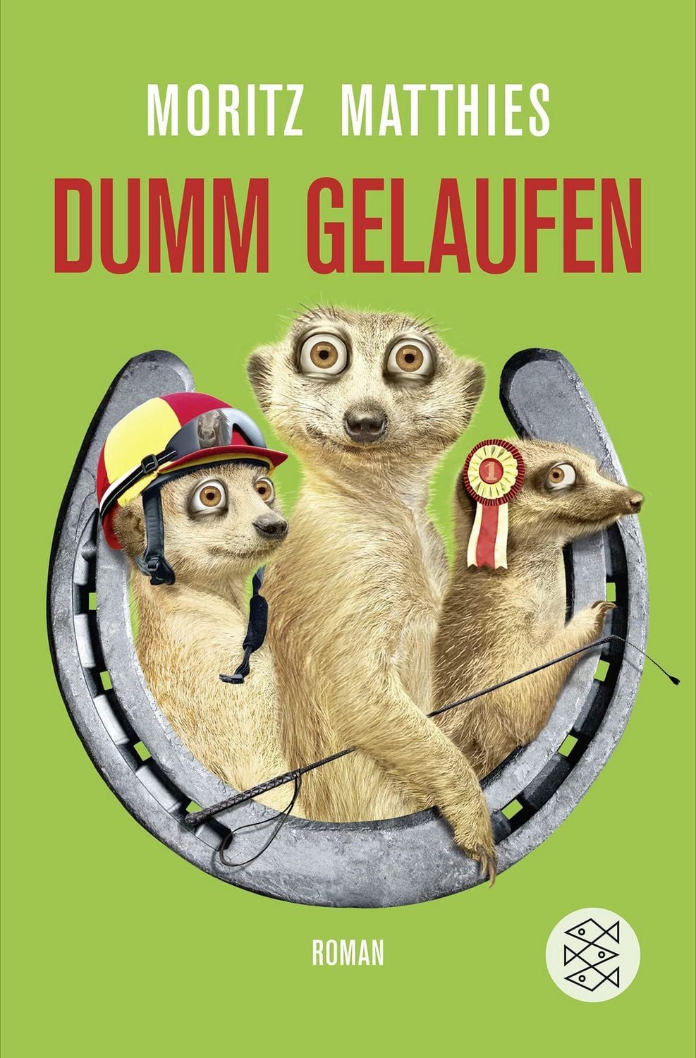 Dumm gelaufen / Moritz Matthies
