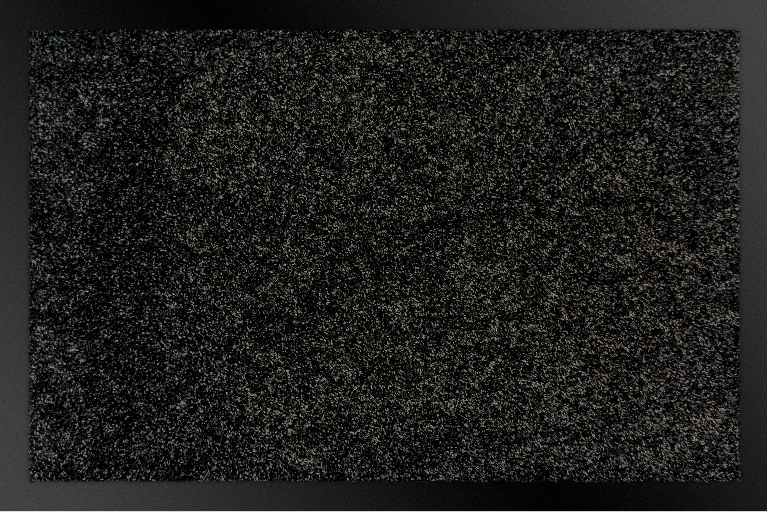 OTTO home Fußmatte Vianne, Schmutzfangmatte Indoor, für Hausflur und Eingan günstig online kaufen