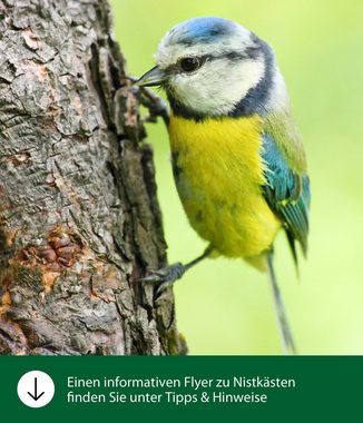 Dehner Nistkasten Natura Premium Lene, zum Hängen, sicherer Brutplatz für Vögel aus FSC®-zertifiziertem Kiefernholz