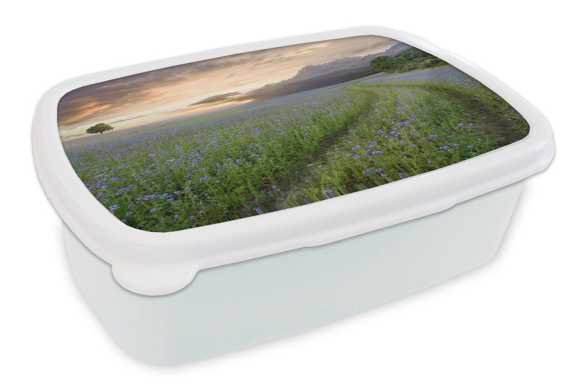 MuchoWow Lunchbox Sonnenuntergang - Blumen - Farben, Kunststoff, (2-tlg), Brotbox für Kinder und Erwachsene, Brotdose, für Jungs und Mädchen weiß
