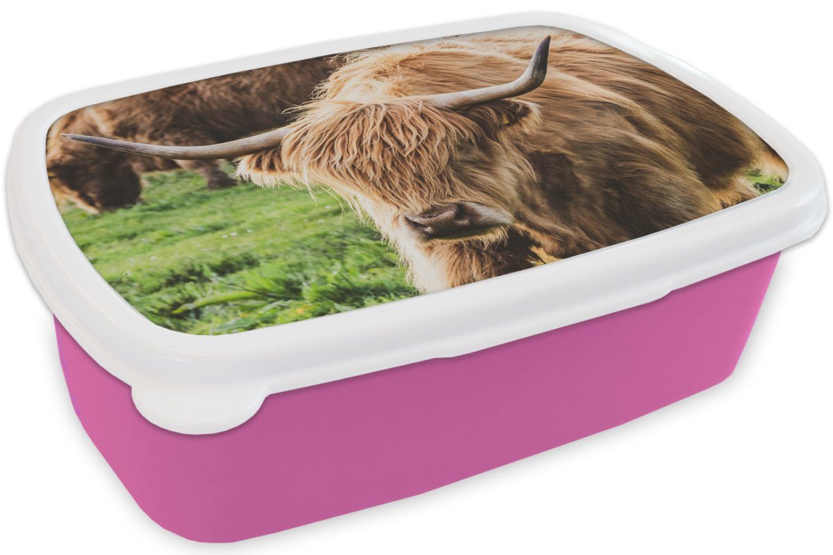Snackbox, - Tiere Brotbox Gras, Erwachsene, für Lunchbox Mädchen, Highlander - MuchoWow Brotdose Kunststoff, (2-tlg), rosa Kinder, Schottische Kunststoff