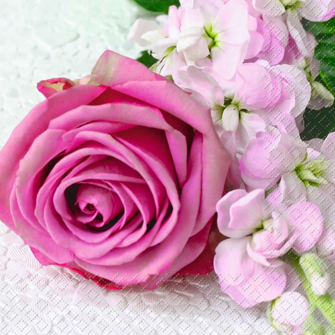 stewo Papierserviette STEWO 2573 6211 28 Cocktailservietten Rose - 25 x 25 cm, 20 Stück