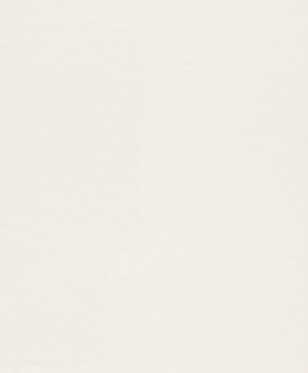 Rasch Vliestapete Makulaturvlies, glatt, Glattvlies, (1 St), doppelbreit (106cm), überstreichbar