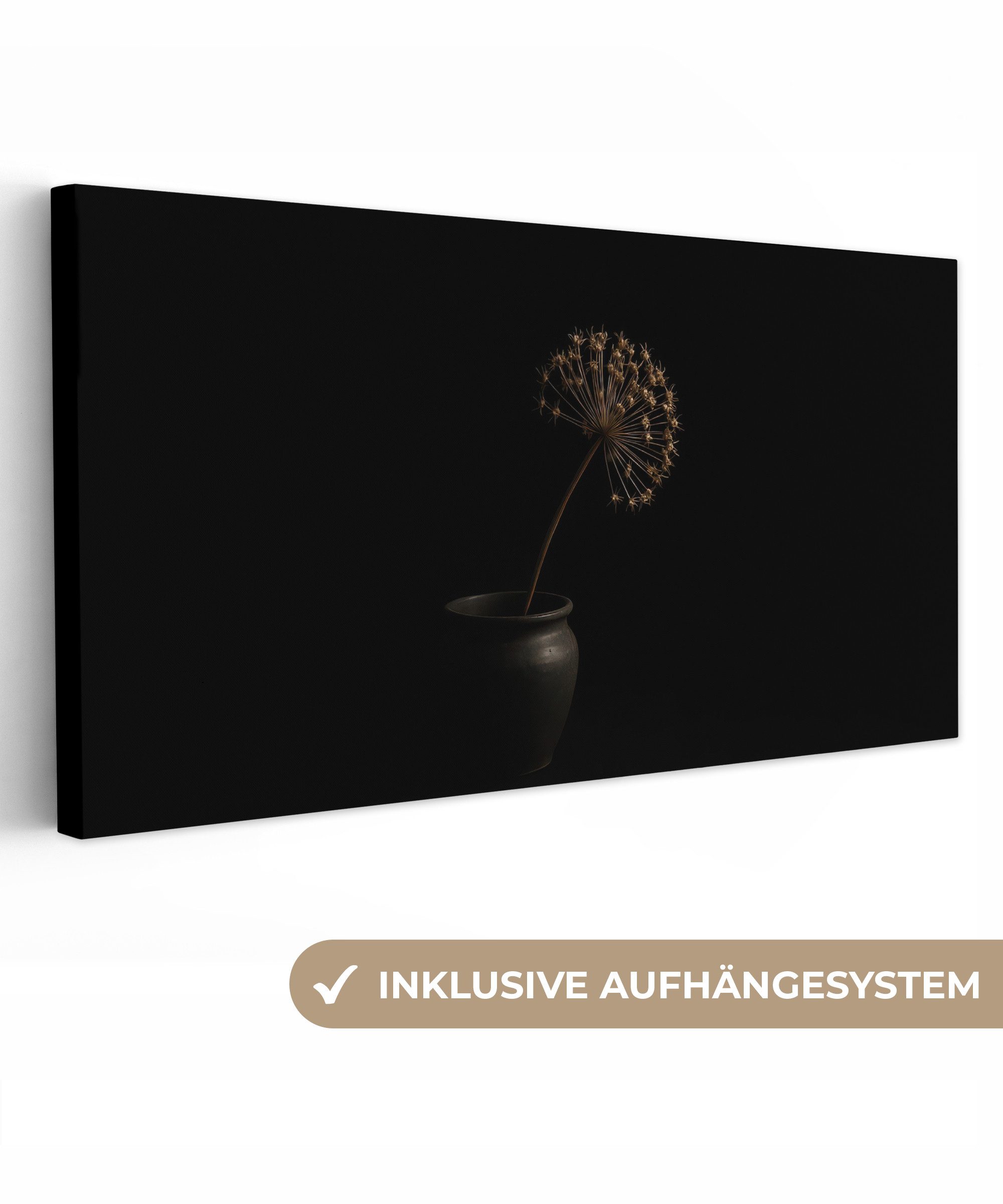 OneMillionCanvasses® Leinwandbild Panorama Zwiebel - Getrocknet - Vase - Sc günstig online kaufen