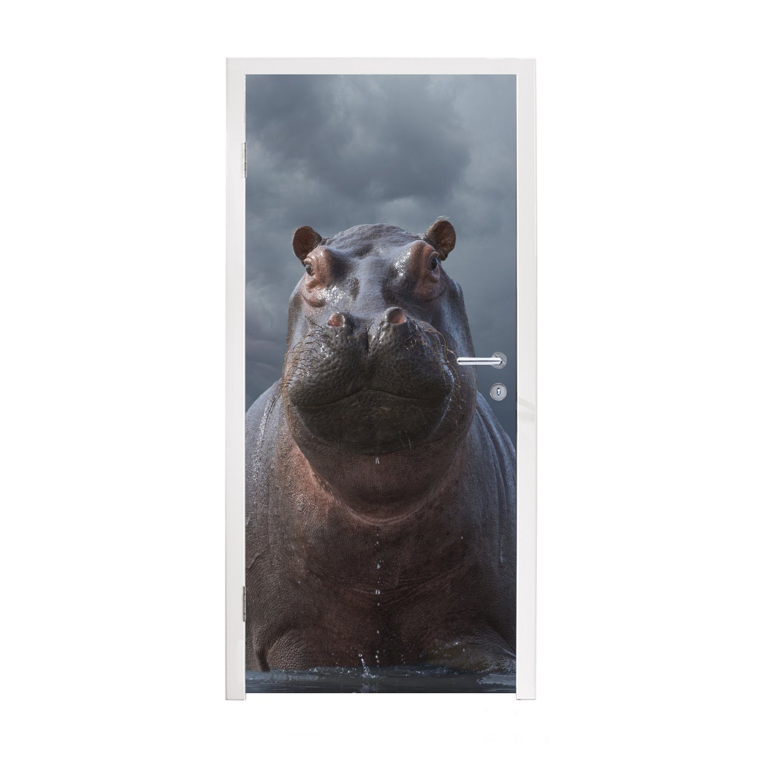 MuchoWow Türtapete Nilpferd - Wasser - Wolken, Matt, bedruckt, (1 St), Fototapete für Tür, Türaufkleber, 75x205 cm