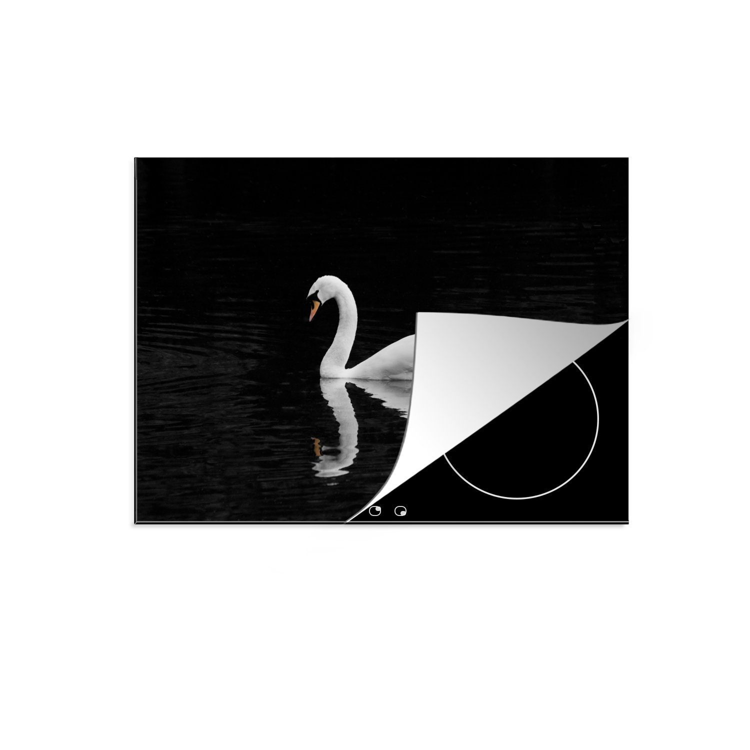 MuchoWow Herdblende-/Abdeckplatte Schwebender Schwan auf schwarzem Hintergrund, Vinyl, (1 tlg), 59x52 cm, Ceranfeldabdeckung für die küche, Induktionsmatte