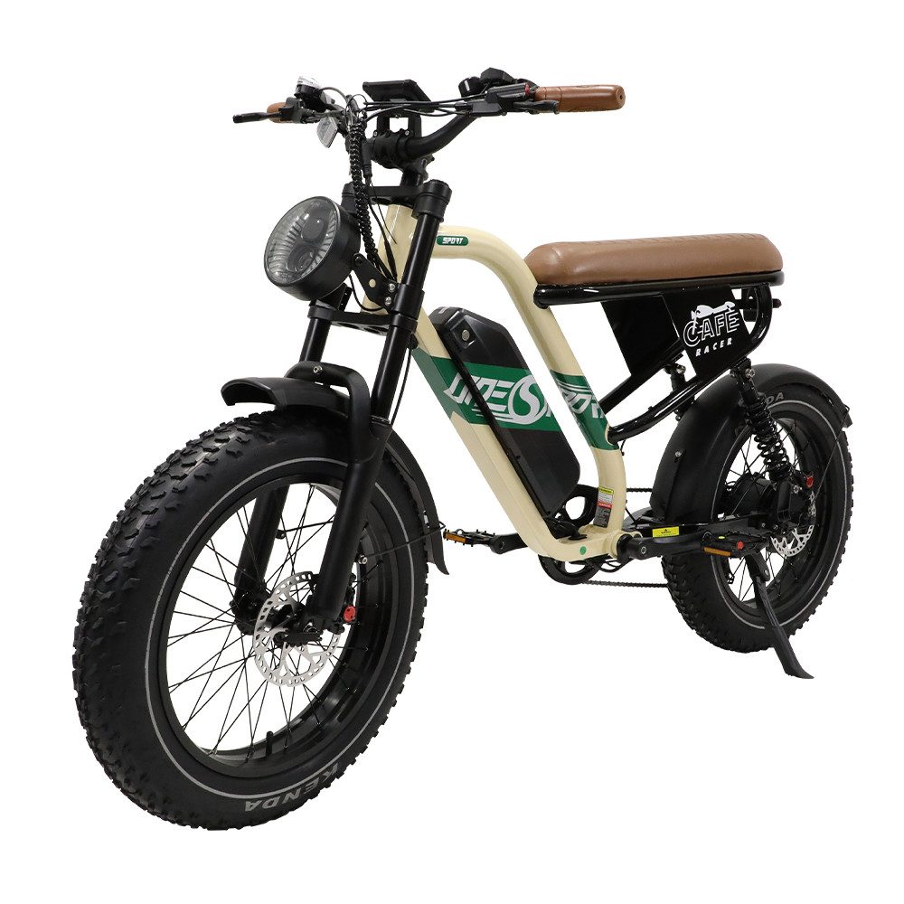 E-Bike Trekkingrad W66 herren Elektrofahrrad 648WH cityrad 20×4.0 Zoll damen 13.5AH 65Nm
