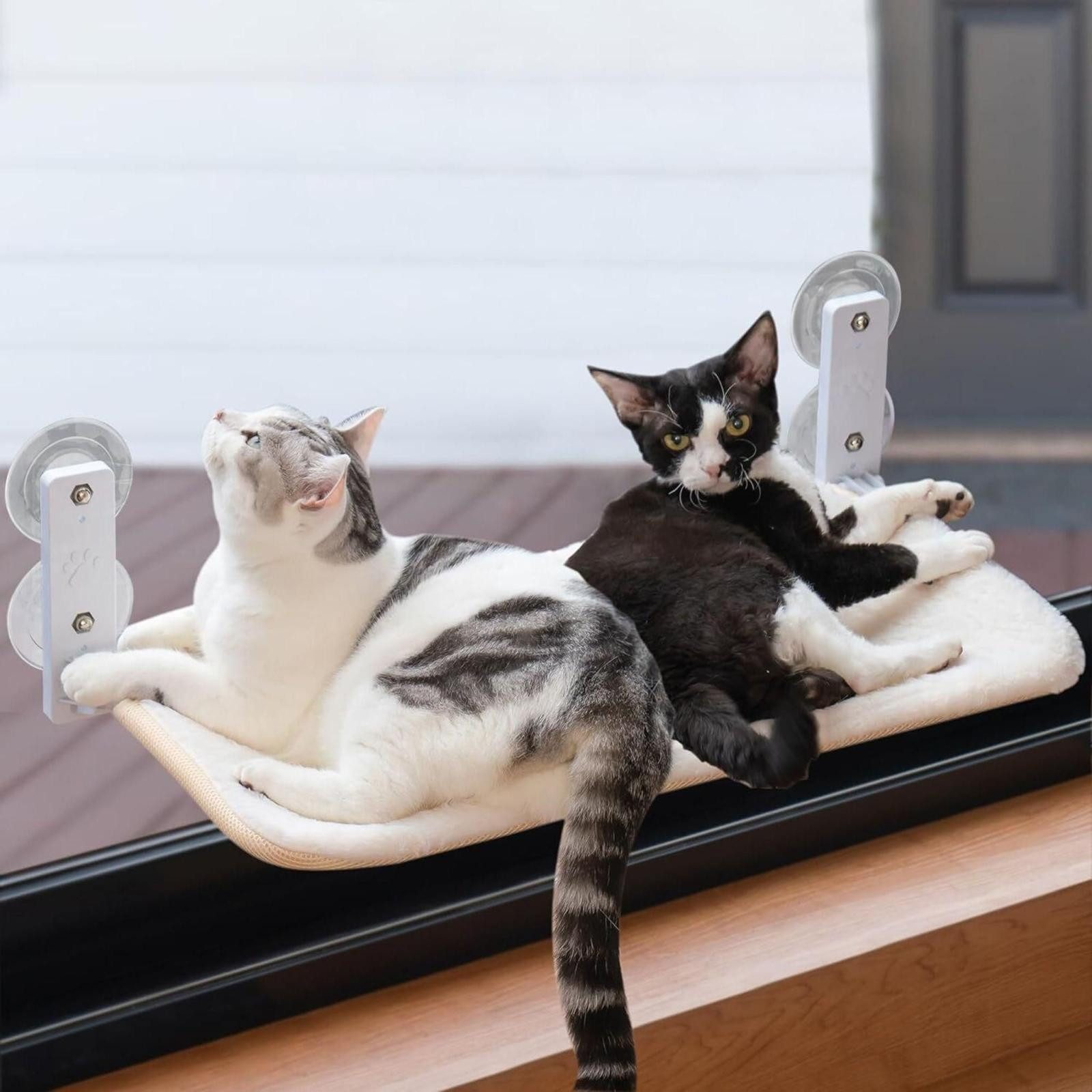 FELIXLEO Katzen-Hängematte Katzen Hängematte Fensterplätze für Katzen 60x30cm Klappbar