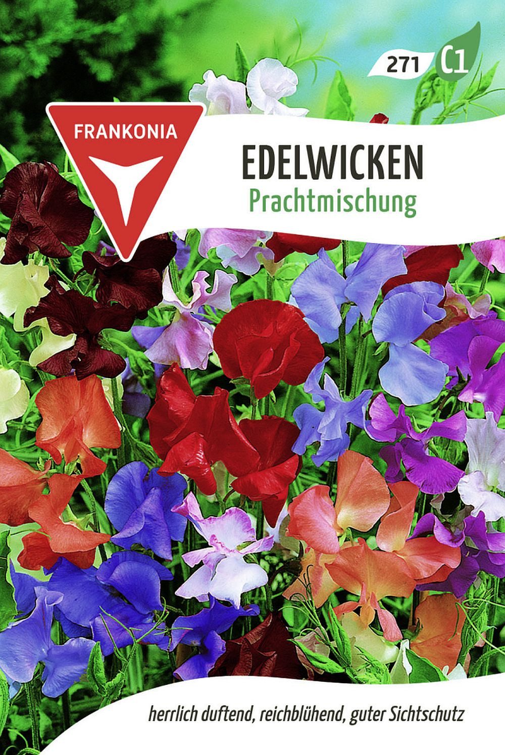 FRANKONIA Blumensamen Edelwicke, Prachtmischung - Saatgut Samen, Lathyrus o günstig online kaufen