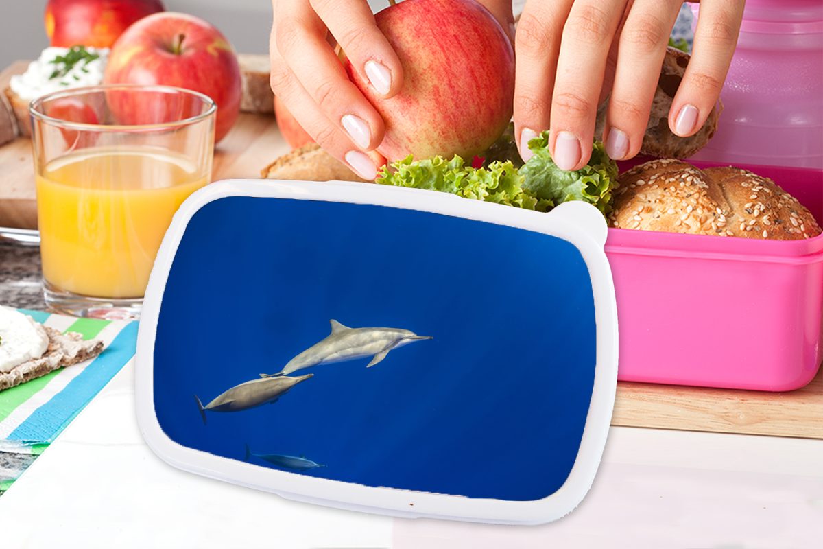 Brotbox Lunchbox Kunststoff, - Mädchen, Meer, MuchoWow für Kunststoff (2-tlg), Kinder, rosa Tier Delfin - Snackbox, Erwachsene, Brotdose
