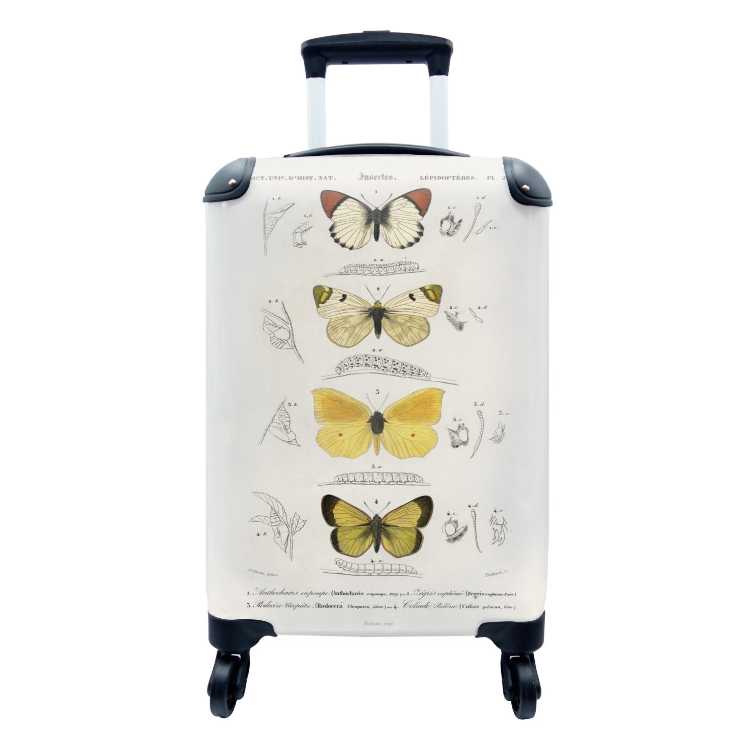 Trolley, - Rollen, rollen, Ferien, Reisetasche Handgepäckkoffer MuchoWow Vintage Handgepäck Schmetterling mit - 4 Reisekoffer für Insekten,