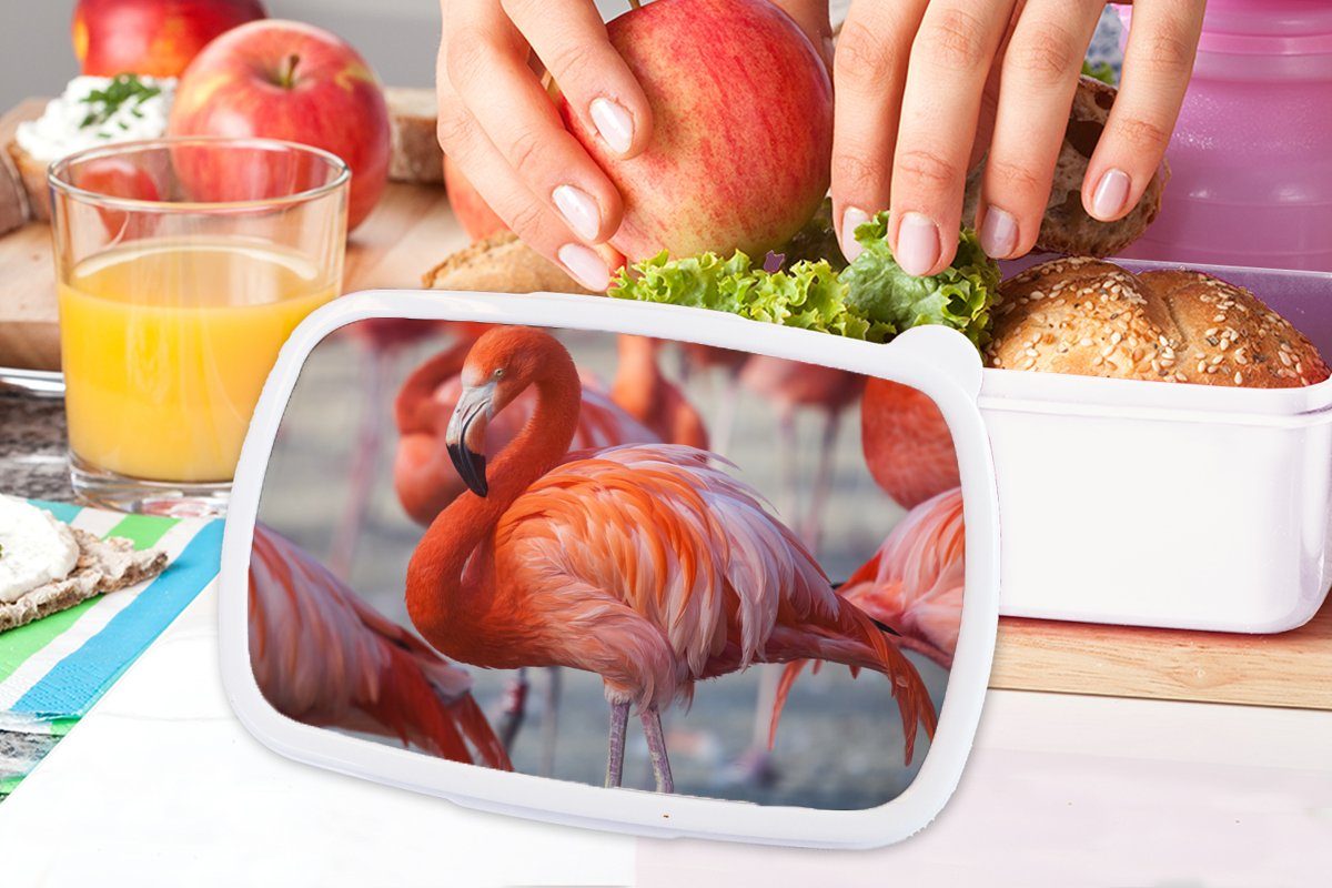 - Brotbox Brotdose, (2-tlg), Mädchen Lunchbox Flamingo Erwachsene, Rosa, weiß MuchoWow Kinder und - und für Vogel - für Kunststoff, Tiere Jungs