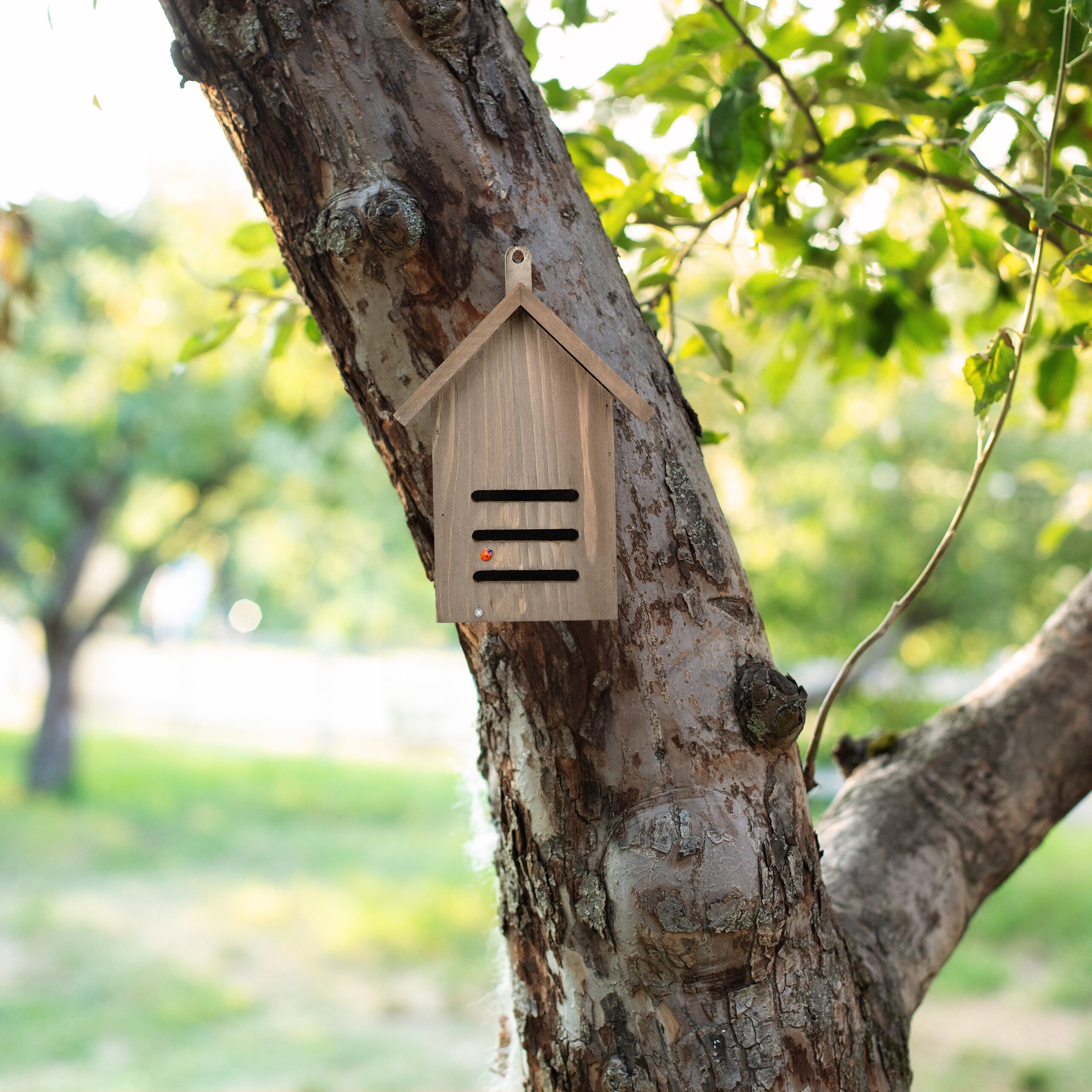 relaxdays Insektenhotel Marienkäferhaus aus Tannenholz braun, (1-St)