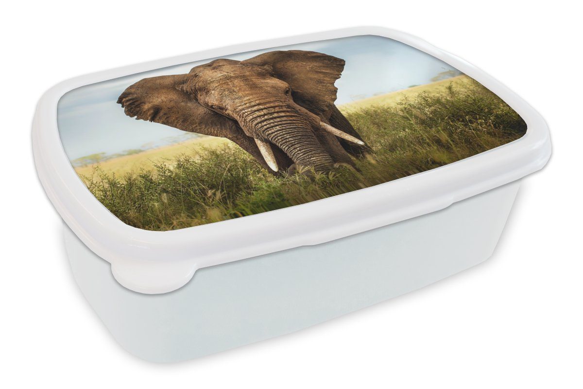MuchoWow Lunchbox Elefant - Gras - Tiere - Natur, Kunststoff, (2-tlg), Brotbox für Kinder und Erwachsene, Brotdose, für Jungs und Mädchen weiß