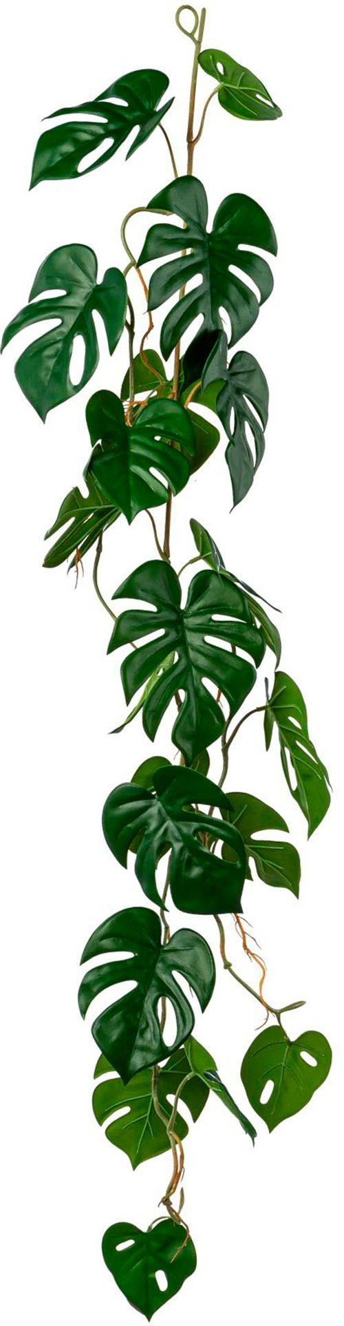 Kunstgirlande Split-Philodendron-Girlande Grünpflanze, Creativ green günstig online kaufen
