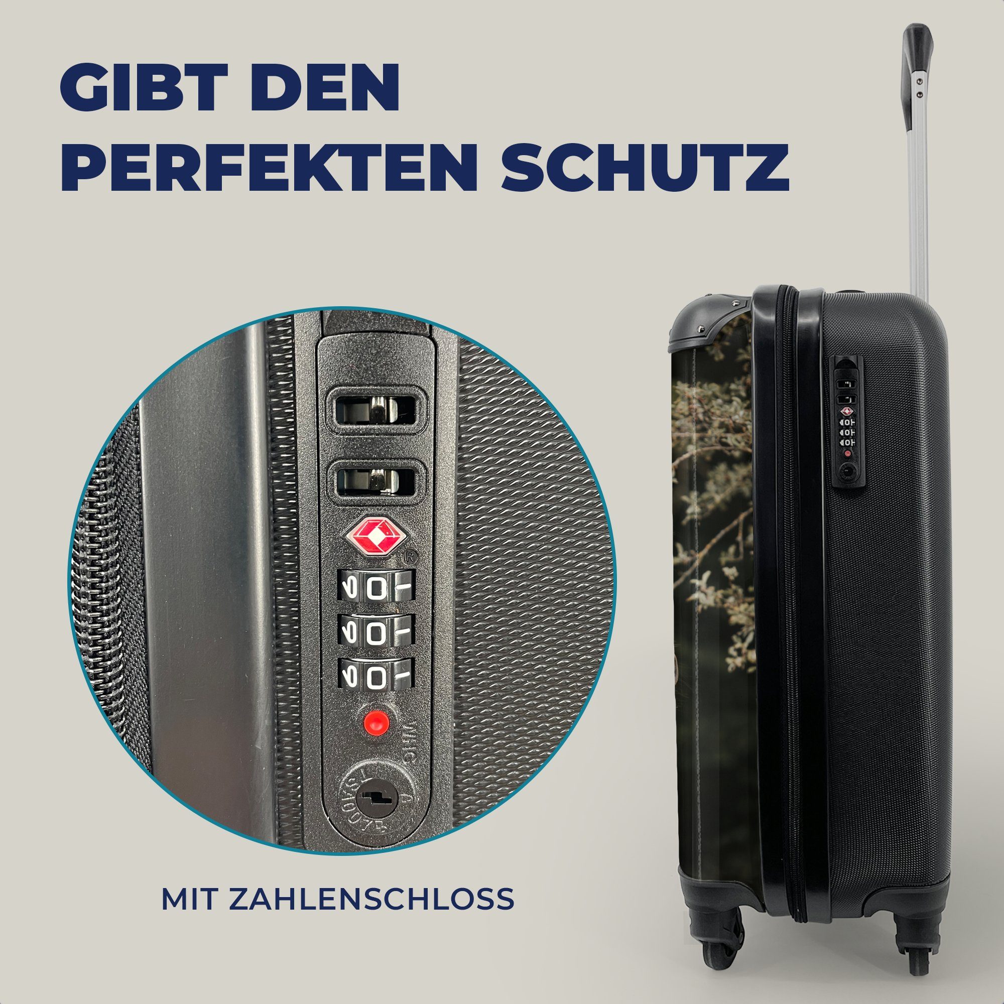 Reisekoffer rollen, 4 Trolley, Handgepäck - Handgepäckkoffer Ferien, Reisetasche MuchoWow Pferd für Porträt, Äste Rollen, - mit