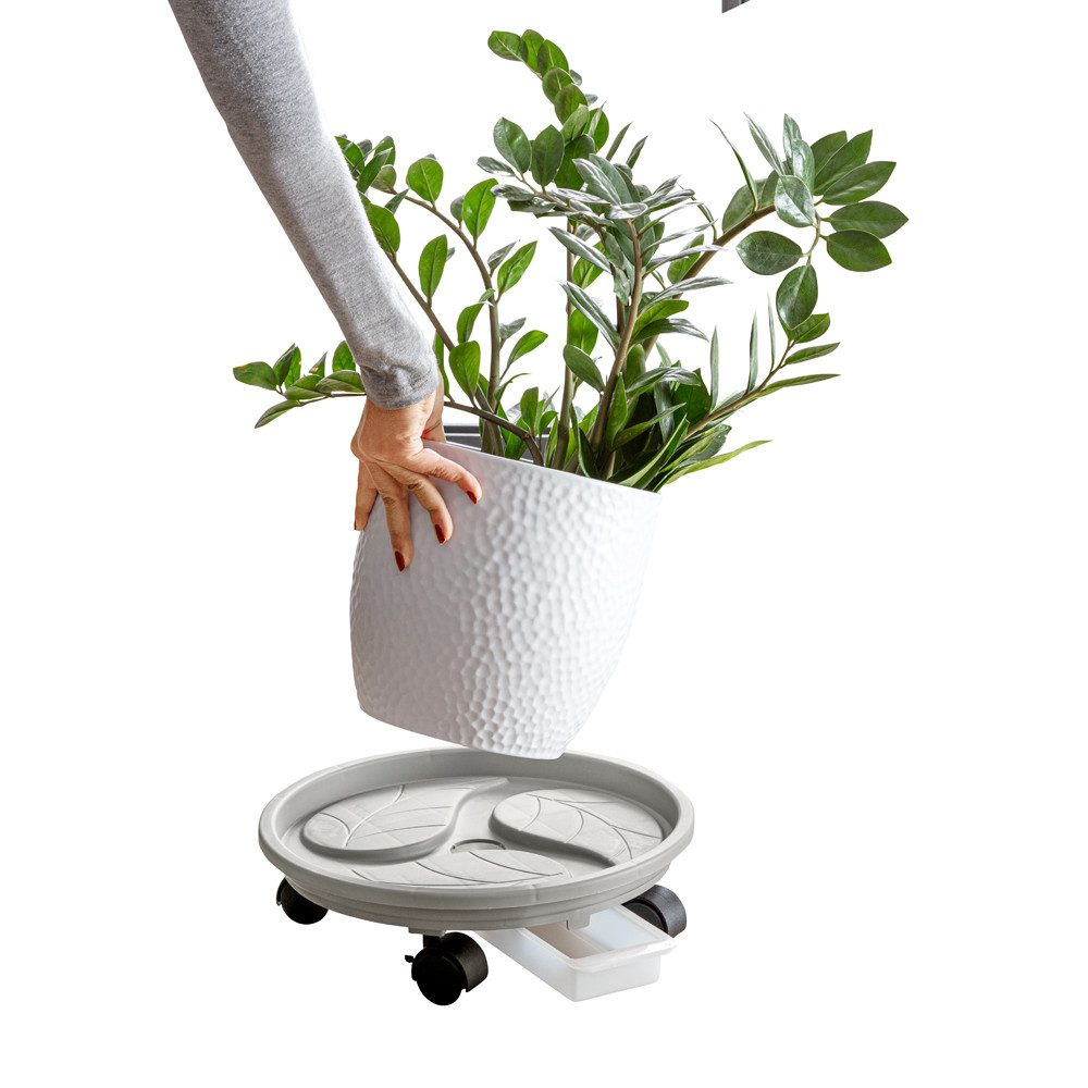 Pflanzenroller