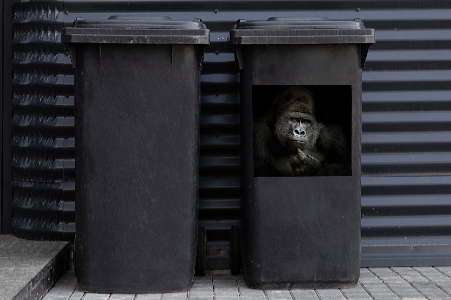 Container, und - Schwarz - Mülltonne, Sticker, MuchoWow Affe St), Wandsticker Abfalbehälter Tiere weiß Mülleimer-aufkleber, Gorilla (1 -