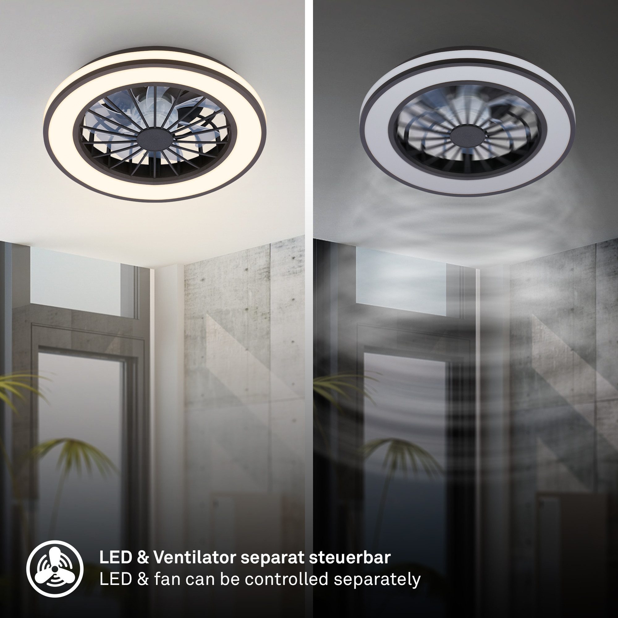 Briloner Leuchten LED Deckenleuchte Deckenventilator mit Licht dimmbar Nachtlicht CCT Sommer/Winter, CCT, LED fest integriert, CCT - Farbsteuerung, 48,5x14,5 cm, 49 Watt, Schlafzimmer, Wohnzimmer