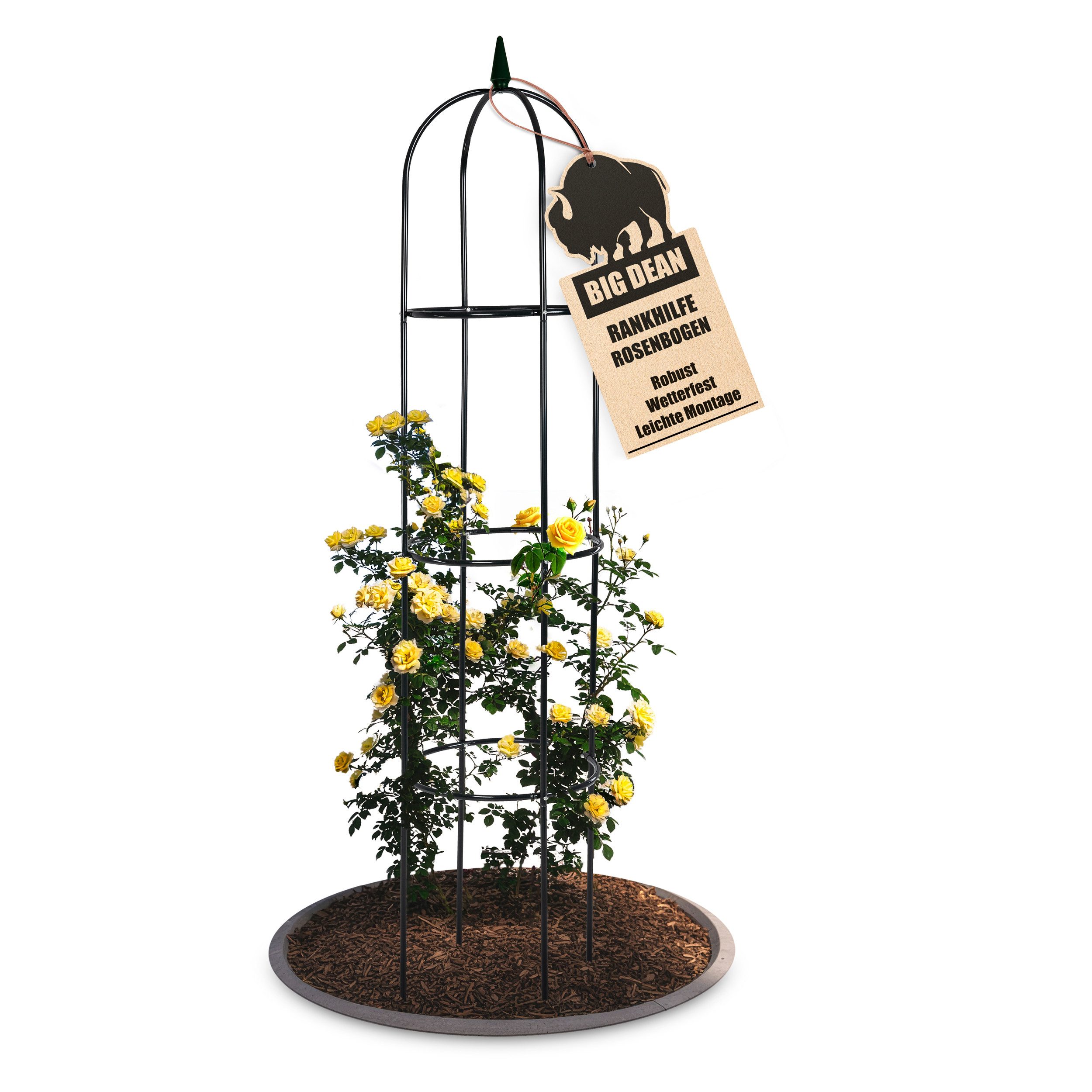 BigDean Rosenbogen Rankhilfe 40 x 200 cm grün witterungsbeständig Packung, günstig online kaufen