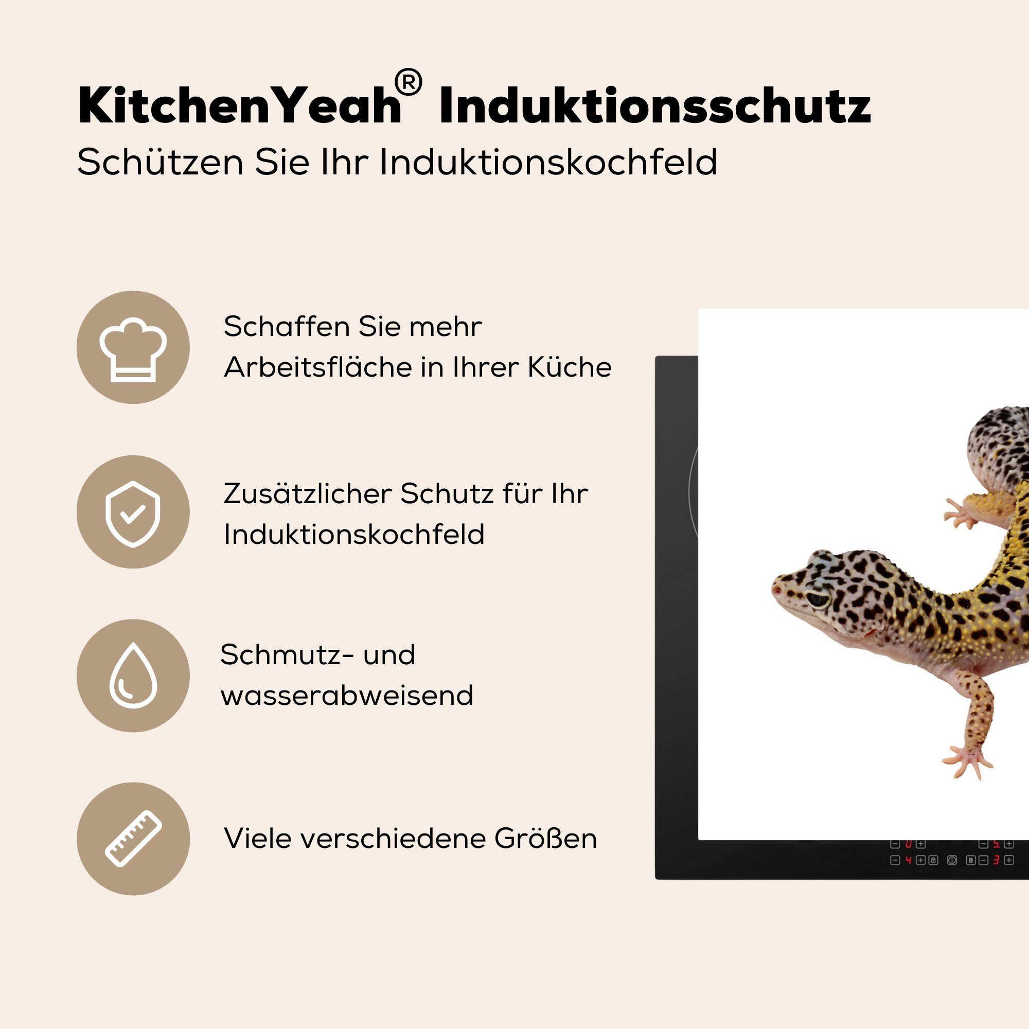 MuchoWow Herdblende-/Abdeckplatte Gecko auf weißem küche Vinyl, cm, Arbeitsplatte 78x78 Hintergrund, für tlg), (1 Ceranfeldabdeckung