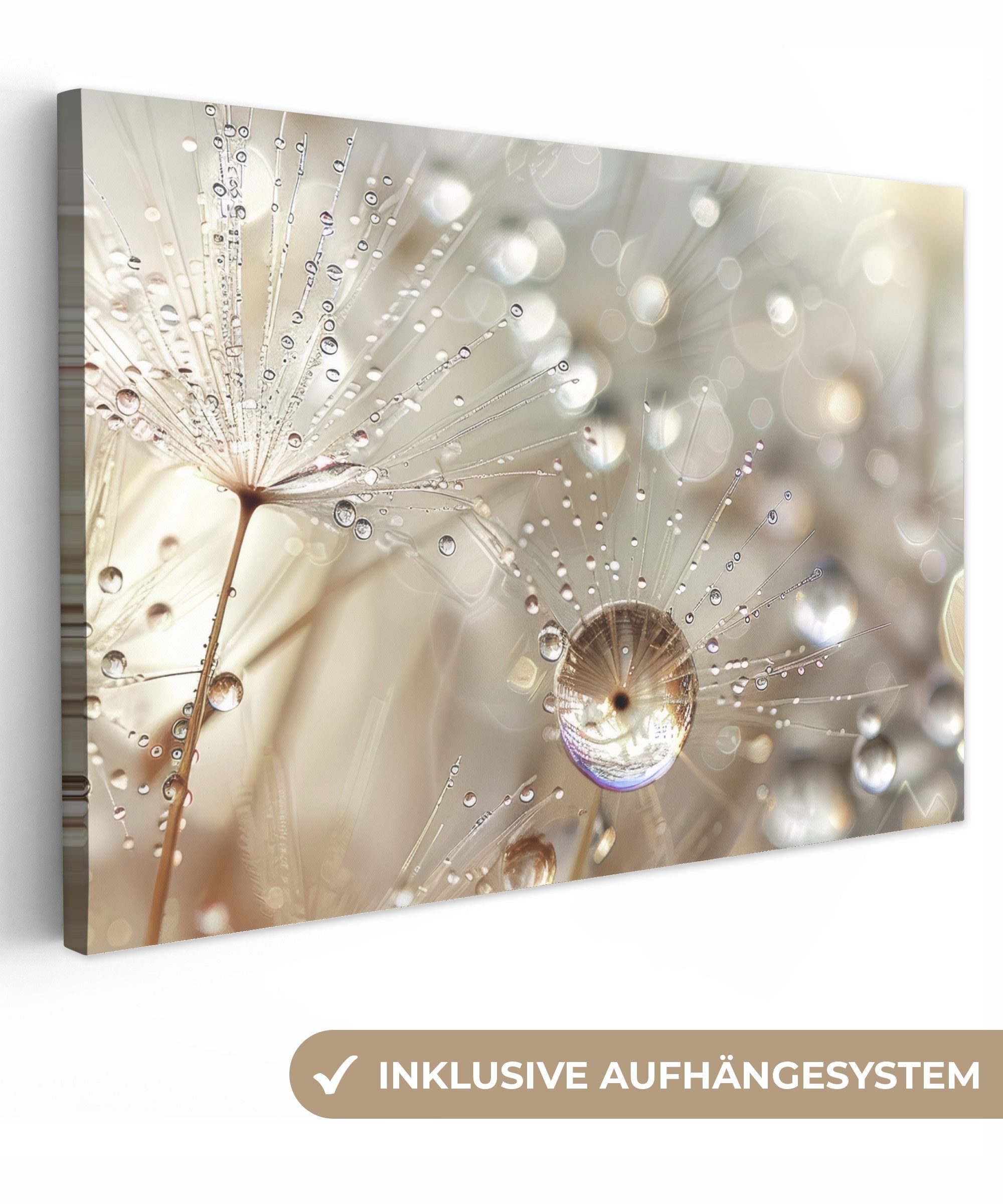 OneMillionCanvasses® Leinwandbild Natur - Blumen - Tropfen - Regen, Fotodru günstig online kaufen