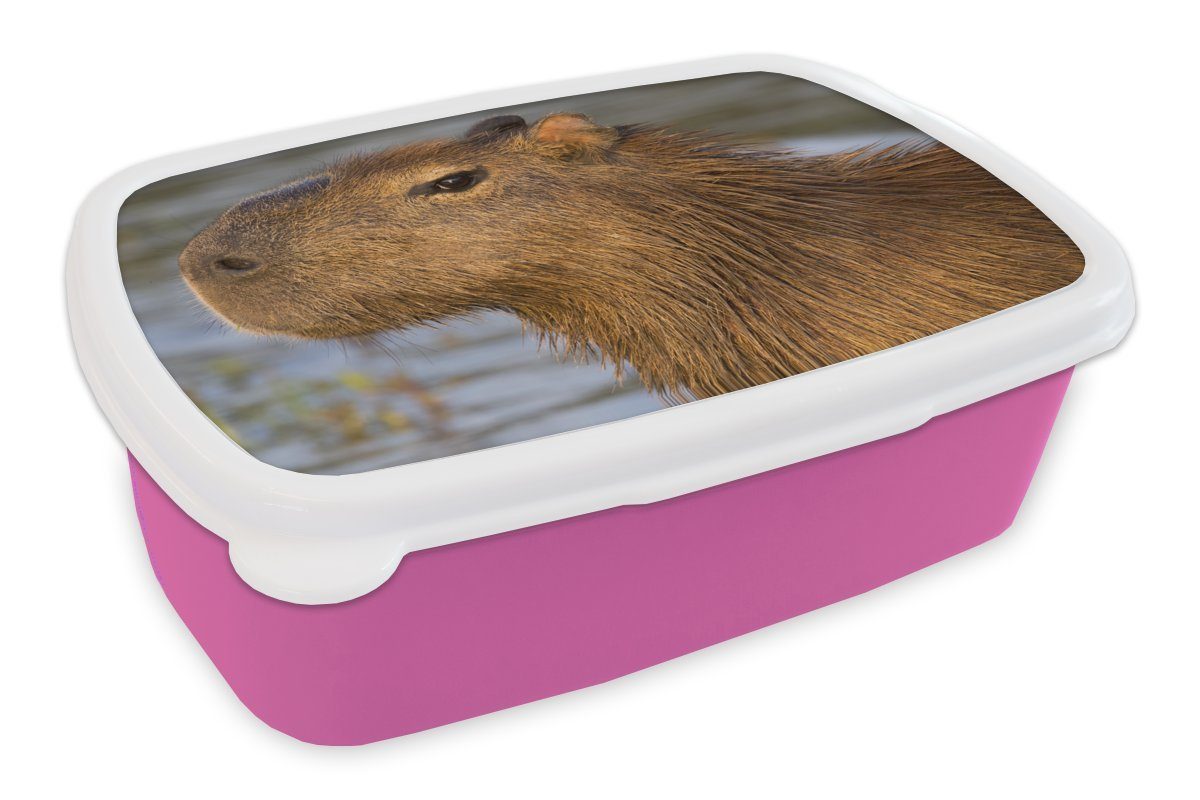 Brotbox für eines MuchoWow Erwachsene, Brotdose Snackbox, (2-tlg), Capybaras, Kopfes Eine Kunststoff des Nahaufnahme Lunchbox rosa Kunststoff, Kinder, Mädchen,