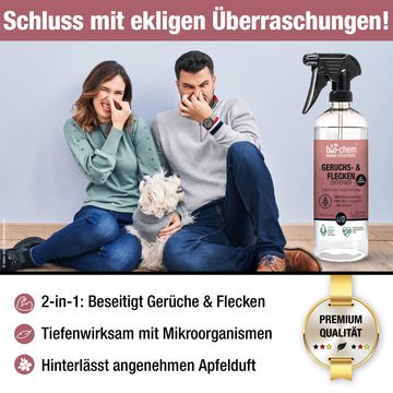 bio-chem Geruchs- und Fleckenentferner 0.75 l Handsprayflasche Fleckentferner