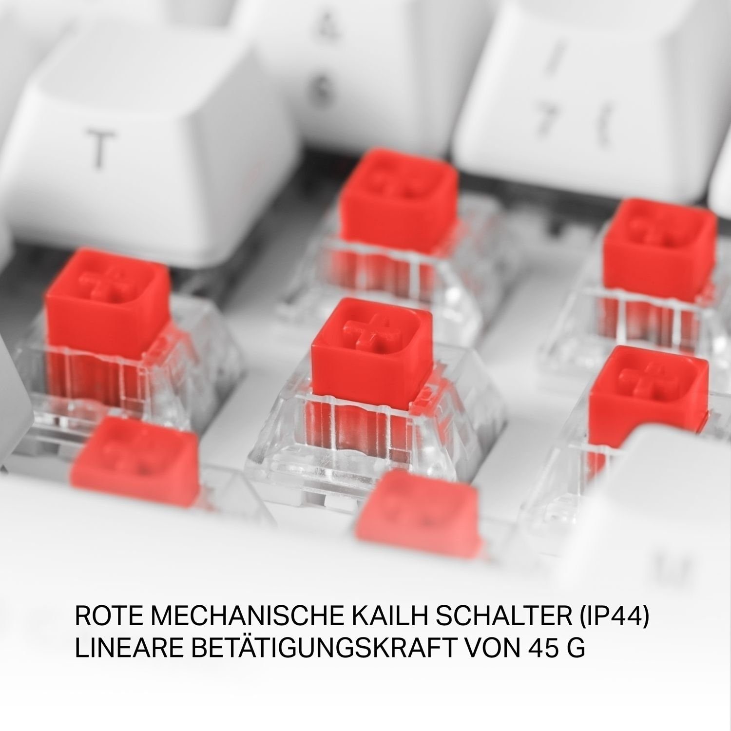 (inkl. 5 Drahtlose Jahre Tastatur Deutsches Herstellergarantie) Gaming Mechanische Layout DELTACO weiß Gaming-Tastatur