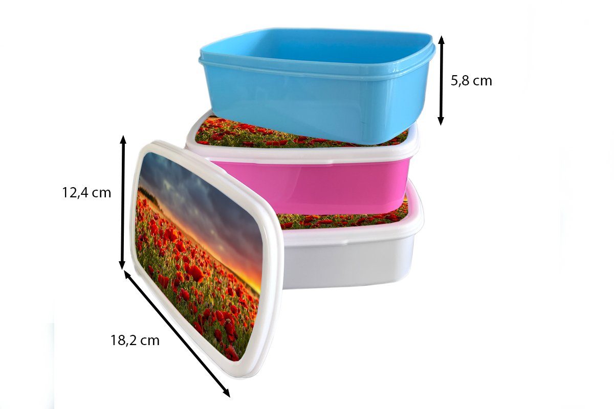 Lunchbox Erwachsene, und Kinder - - für (2-tlg), - Natur, MuchoWow für Brotbox Mädchen Jungs - Brotdose, Rot weiß Blumen Mohnblumen Sonnenuntergang und - Feld Kunststoff,