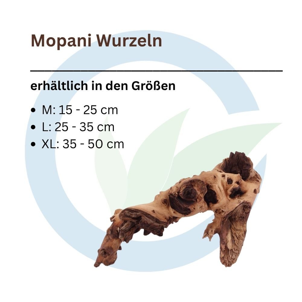 Aquaone Aquarium Mopani Wurzel M 15-25 cm
