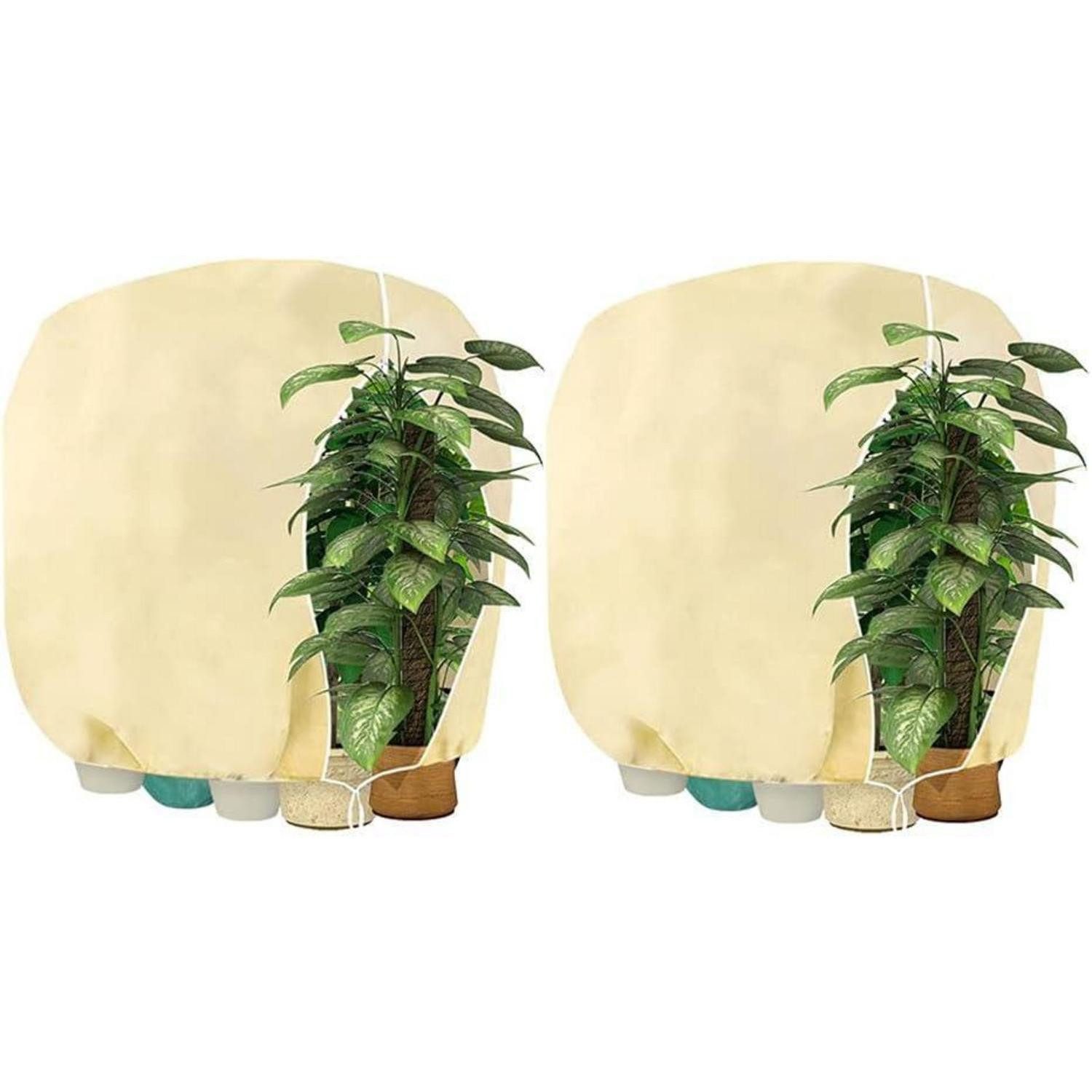 LuxusKollektion Abdeckhaube Winterschutz Pflanzenabdeckung 120x180cm beige-2 Stück